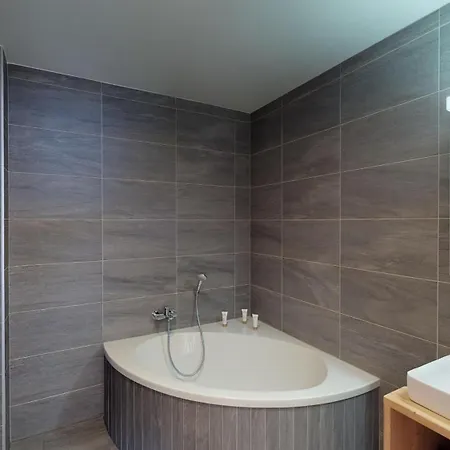 Les Mayens Ma 011 - Luxury 6 Pers Lejlighed Veysonnaz